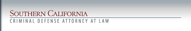 Criminal Lawyer