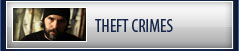 Theft Crimes Defense Laywer